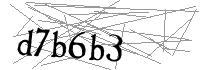 Visual Verification