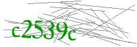 Visual Verification