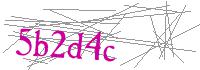 Visual Verification