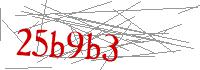Visual Verification