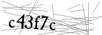 Visual Verification