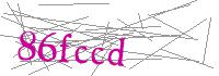 Visual Verification