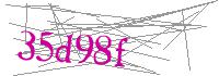 Visual Verification