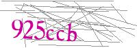 Visual Verification