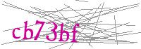 Visual Verification