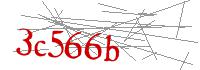 Visual Verification