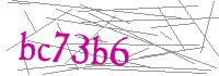 Visual Verification