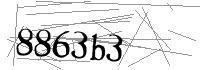 Visual Verification