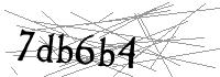 Visual Verification