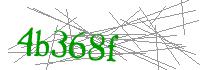 Visual Verification
