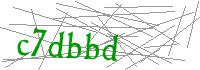 Visual Verification