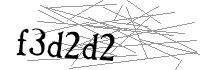 Visual Verification