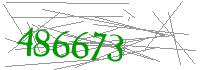 Visual Verification