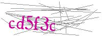 Visual Verification