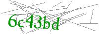 Visual Verification