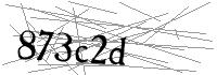 Visual Verification