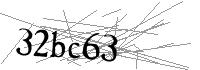 Visual Verification