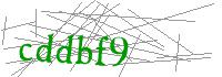 Visual Verification