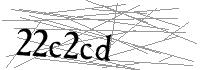 Visual Verification