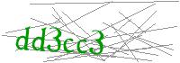 Visual Verification