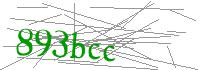 Visual Verification