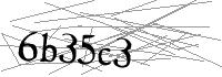 Visual Verification