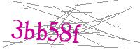 Visual Verification