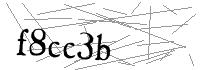 Visual Verification