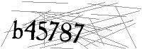 Visual Verification
