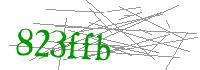 Visual Verification