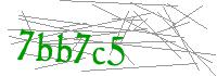 Visual Verification