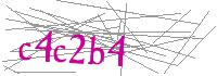 Visual Verification