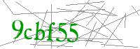 Visual Verification