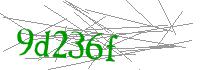 Visual Verification