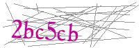 Visual Verification