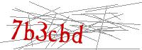 Visual Verification
