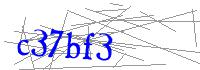 Visual Verification