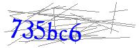 Visual Verification