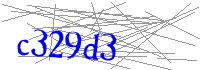 Visual Verification