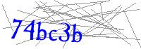 Visual Verification