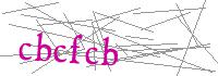 Visual Verification