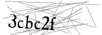 Visual Verification
