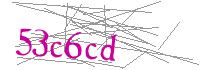 Visual Verification