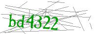 Visual Verification