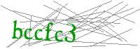 Visual Verification
