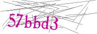 Visual Verification
