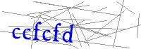 Visual Verification