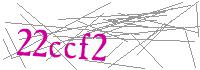 Visual Verification