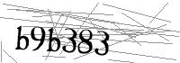 Visual Verification