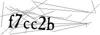 Visual Verification